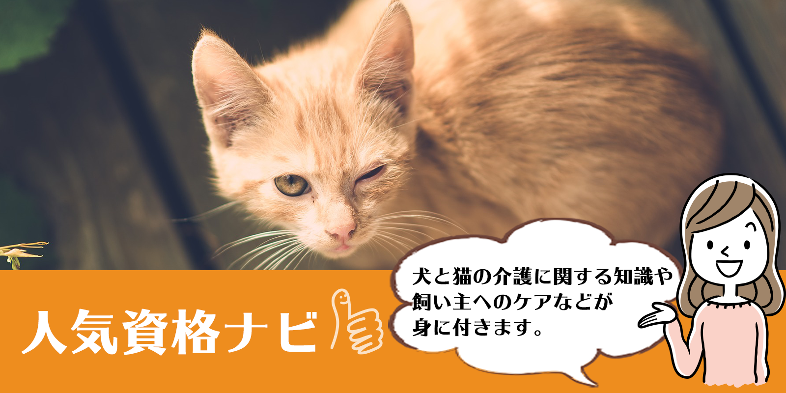 犬猫介護アドバイザー資格のアイキャッチ画像