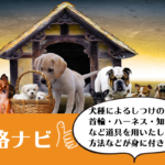 犬のしつけインストラクター資格