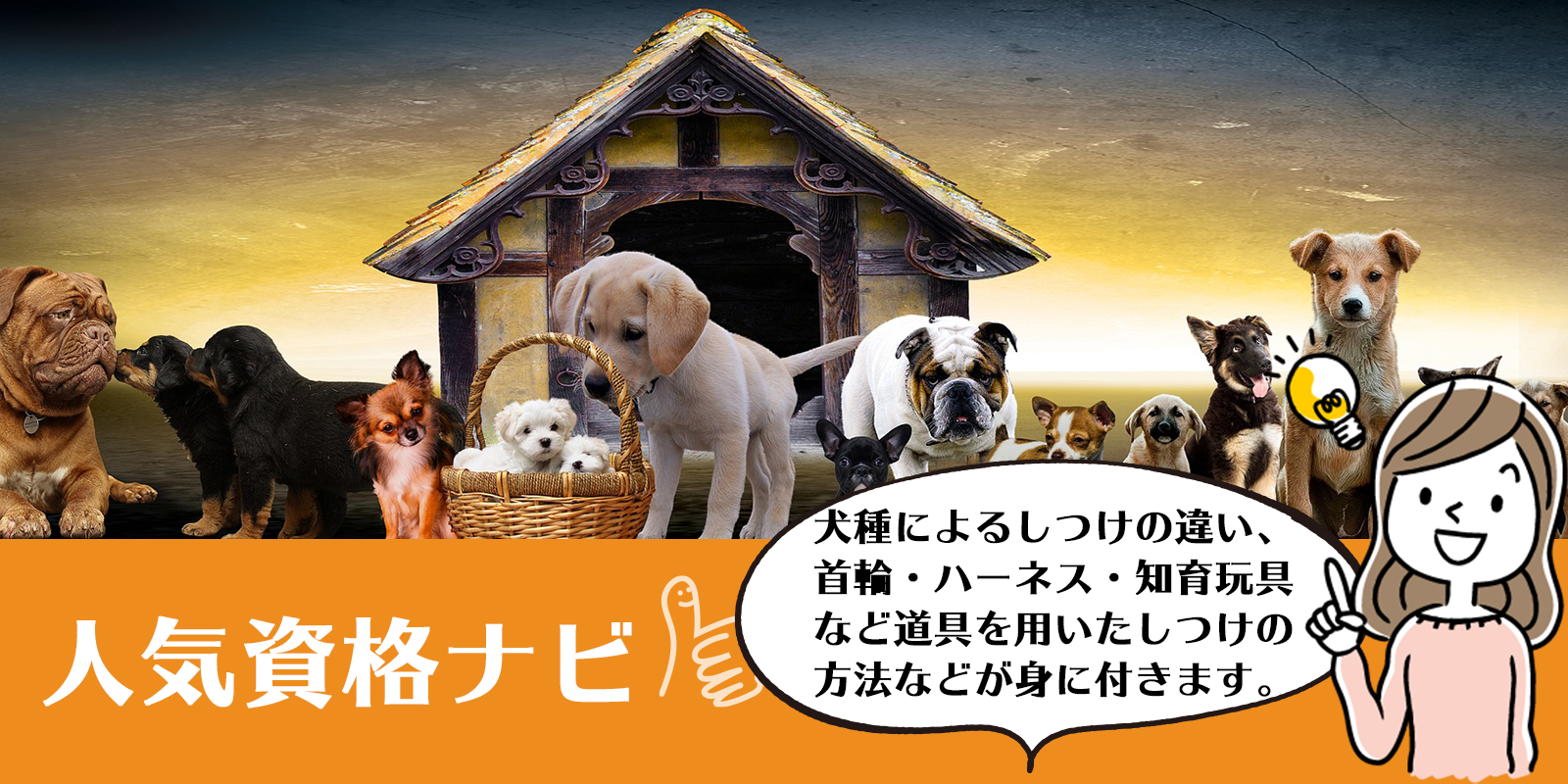 犬のしつけインストラクター資格のアイキャッチ画像